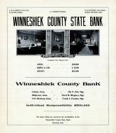 Advertisement 001, Winneshiek County 1905